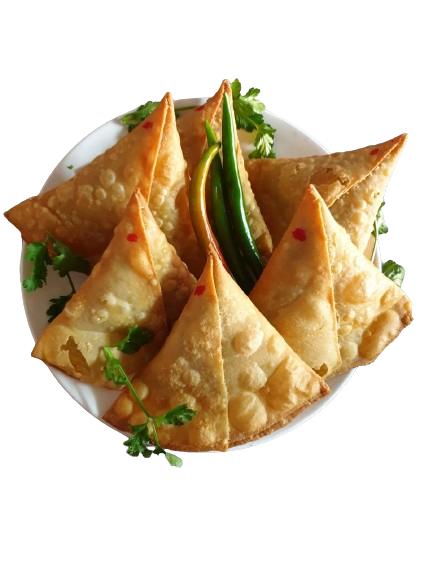 Chicken Samosa